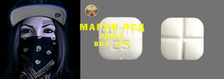 гидропоника Гусев